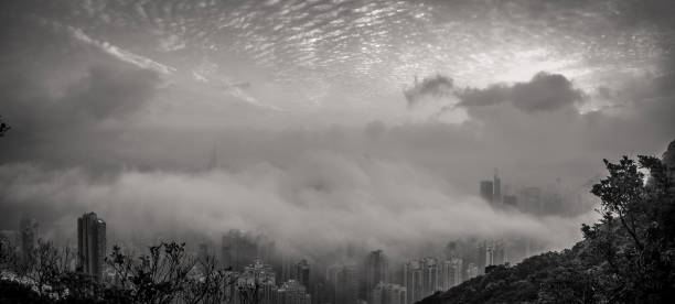 enevoado temporada em hong kong mirante do pico - meteorology rain fog forest - fotografias e filmes do acervo