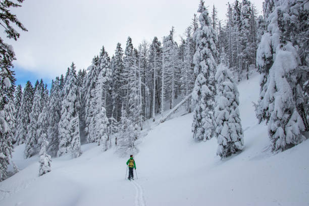 istock Man on skis in winter fairy tale 927087862