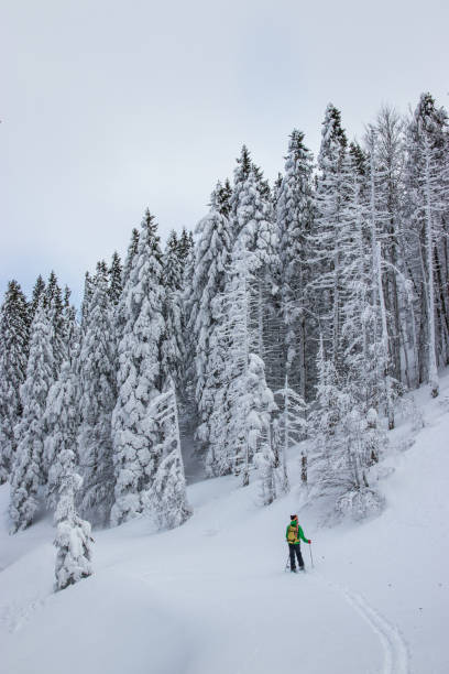 istock Man on skis among snow covered spruce trees 927088114