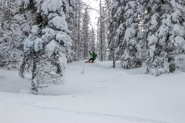 istock Snowboarding in forest covered with deep snow 927088288