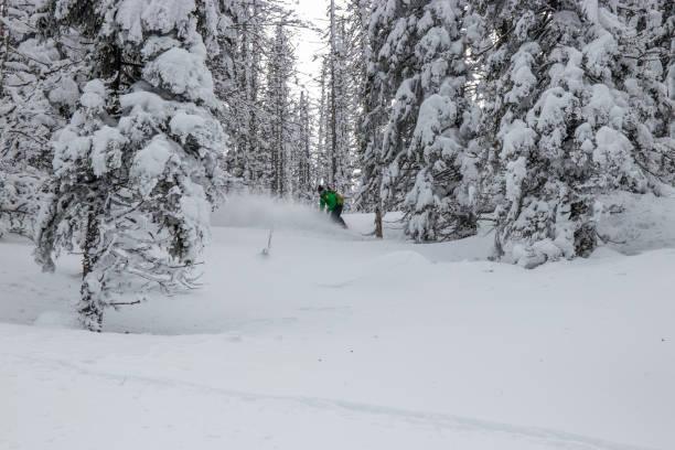 istock Snowboarder spruce forest with deep powder snow 927088516