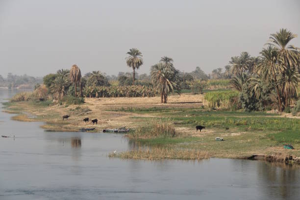 istock Banks of the Nile River 927091080
