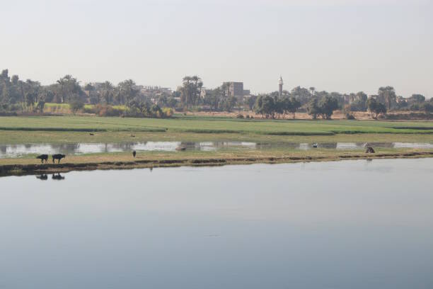 istock Banks of the Nile River 927091124