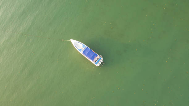 istock Aerial view boats on the sea 927096284