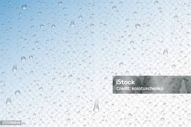 Vector Realistic Water Drops Condensed Stock Illustration - Download Image Now - Drop, Water, Rain