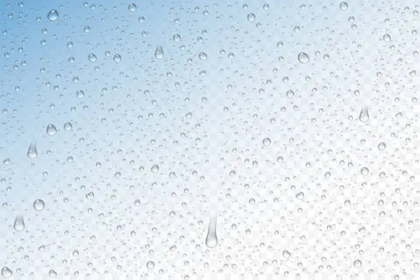 Vector illustration of Vector realistic water drops condensed