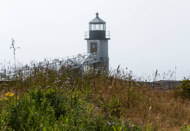 marshall point lighthouse mit hohe gräser und pinsel - lighthouse maine beacon marshall point lighthouse stock-fotos und bilder