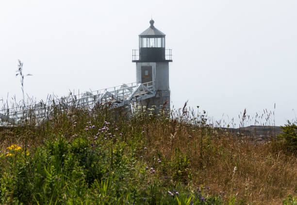 marshall point lighthouse with tall grass and brush - marshall point lighthouse beacon lighthouse light imagens e fotografias de stock