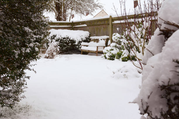 istock Shrubs and bench in country garden covered with snow 927098628