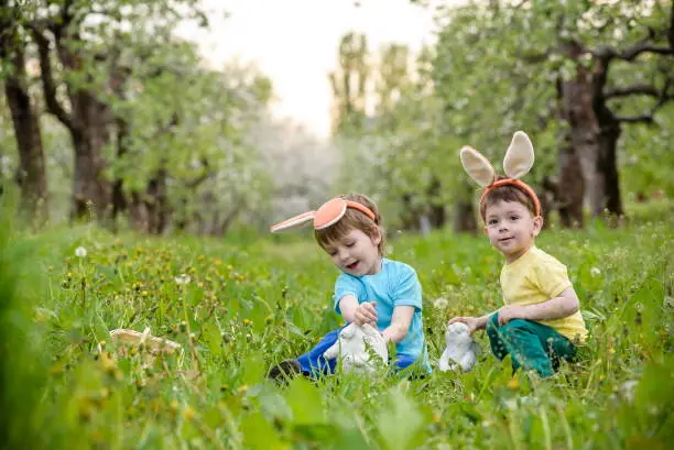 Two little kids boys and friends in Easter bunny ears during traditional egg hunt in spring garden, outdoors. Siblings having fun with finding colorful eggs. Old christian and catholoc tradition.