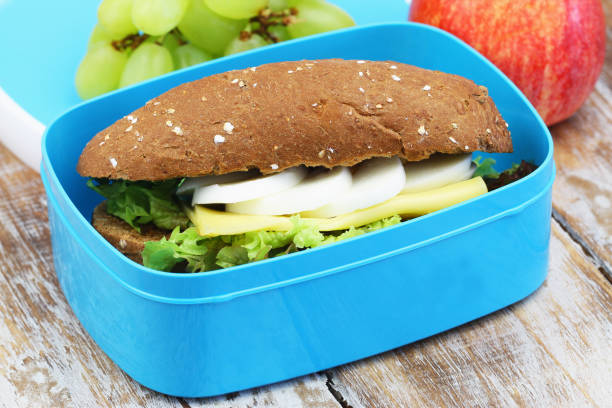 healthy school lunch containing brown roll with cheese and hard boiled egg and fresh fruit - lunch box lunch red apple imagens e fotografias de stock