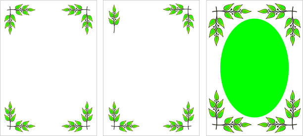набор оригинальных декоративной оправе. лавры ветки (вектор - magnolia fruit sweet magnolia evergreen tree stock illustrations