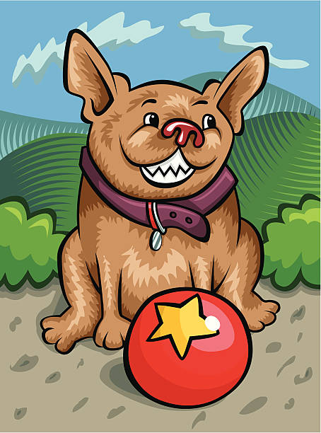 Dog and ball vector art illustration