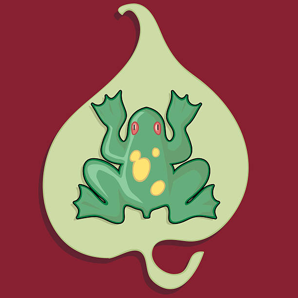 Frog on the leaf vector art illustration