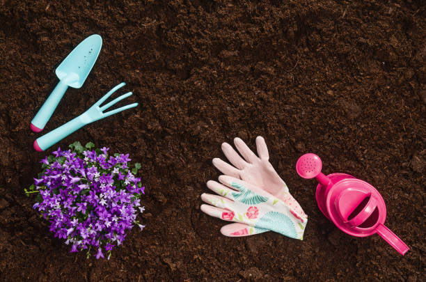 istock Gardening tools on garden soil texture background top view 927114130