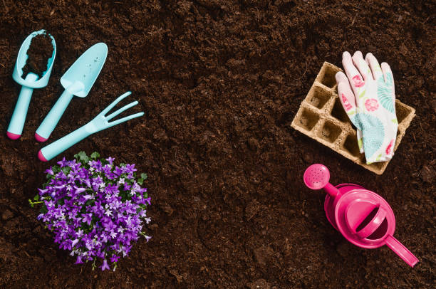 istock Gardening tools on garden soil texture background top view 927114276