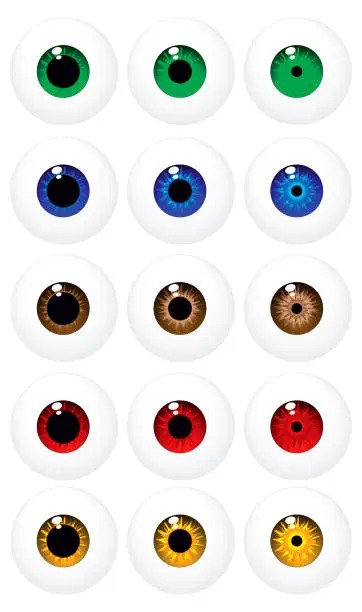 Vector illustration of Eyeballs - Design elements