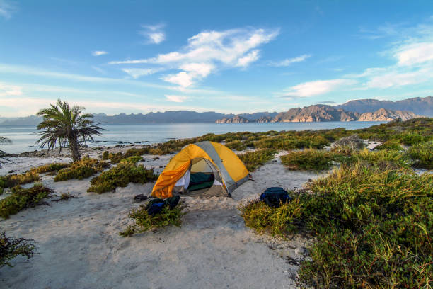 isla carmen campo uno - majestic landscape arid climate beach foto e immagini stock