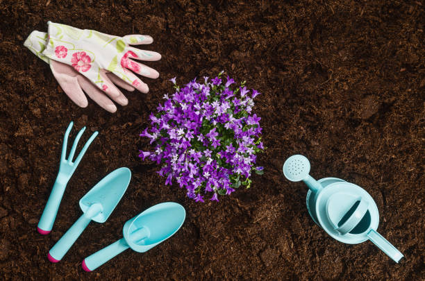 istock Gardening tools on garden soil texture background top view 927118008