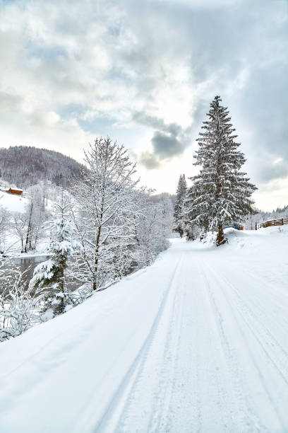 istock Broad winding road through winter spruce forest. 927120494