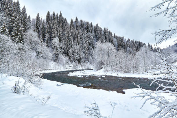 istock Broad winding road through winter spruce forest. 927120502