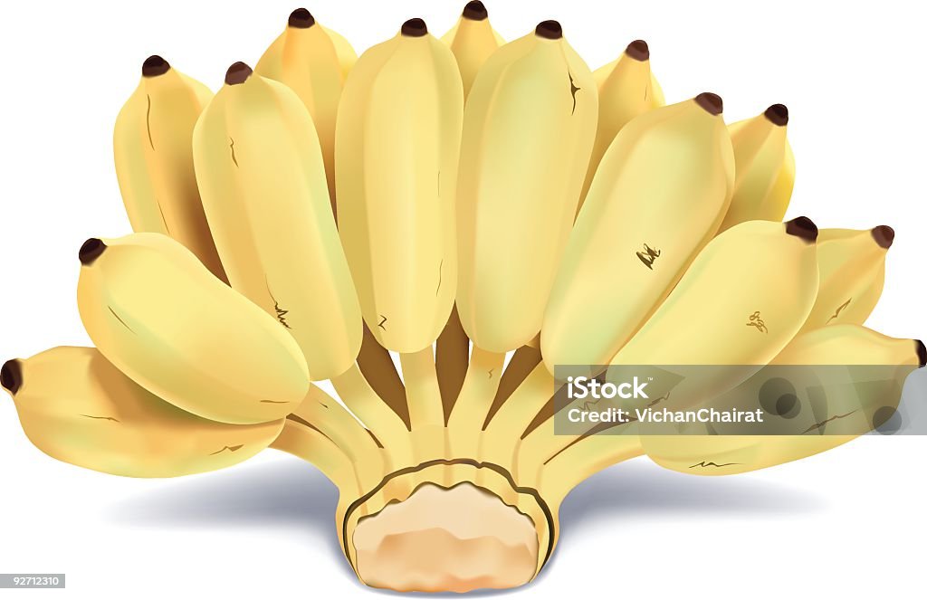 Asiática de Banana - Vetor de Alimentação Saudável royalty-free