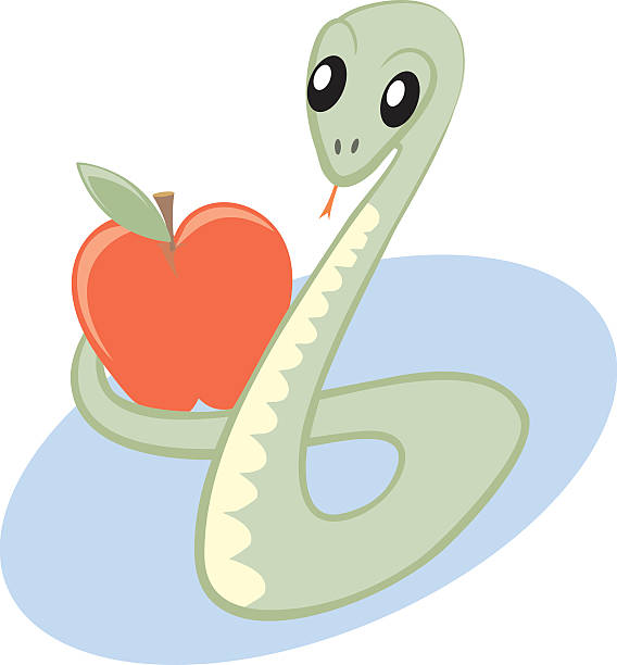 Cartoon Hissing Snake Stock Photos, Pictures & Royalty-Free Images - iStock