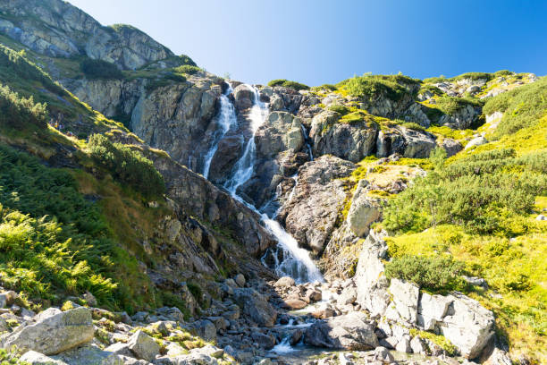 istock View on the biggest waterfall Siklawa in Tatra mountains, Poland 927124814