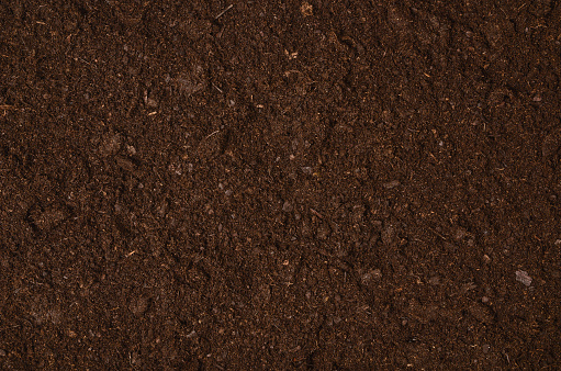 Vista superior de fondo de textura de un suelo de jardín fértil photo