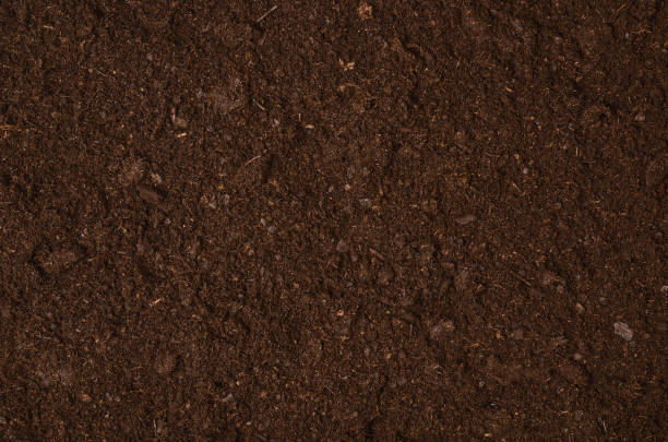 vista superior de fondo de textura de un suelo de jardín fértil - humus soil fotografías e imágenes de stock