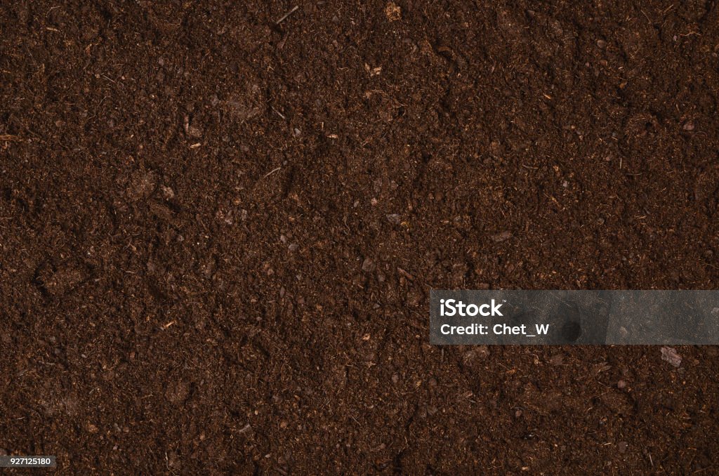 Fertile garden soil texture background top view Fertile soil texture background seen from above, top view. Gardening or planting concept with copy space. Natural pattern Dirt Stock Photo
