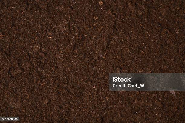 Fertile Garden Soil Texture Background Top View Stock Photo - Download Image Now - Dirt, Textured, Backgrounds