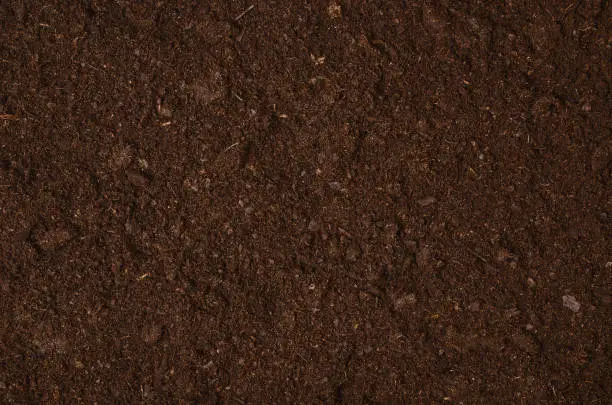 Photo of Fertile garden soil texture background top view