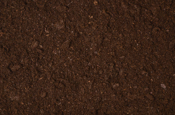 fertile garden soil texture background top view - cultivated land fotos imagens e fotografias de stock