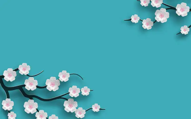 Vector illustration of Floral background decorated blooming cherry flowers branch, bright blue backdrop for spring time season design. Banner, poster, flyer with place for your text. Paper cut out style, vector