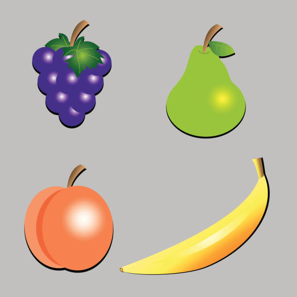 Fruit vector art illustration