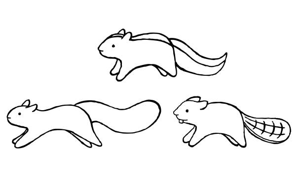 Squirrel Running Illustrations, Royalty-Free Vector Graphics & Clip Art -  iStock