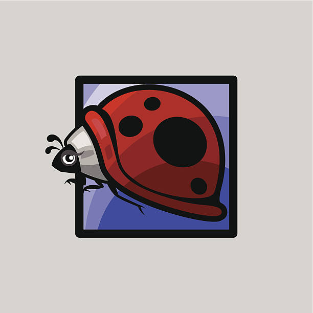 icons for spring - ladybug vector art illustration