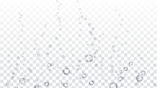 Bubbles Underwater Transparent Vector. Water Air Or Shower Drops. Fizzy Air. Under Sea Water. Soda Effect. Isolated On Transparent Background Realistic Illustration Bubbles Transparent Vector. Underwater. Water Drops, Bubbles Texture. Gas, Oxygen Bubbles. Effervescent Champagne Drink. Isolated On Transparent Background Realistic Illustration underwater stock illustrations