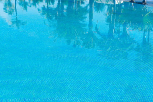 istock pool with reflections of palm trees 927135312