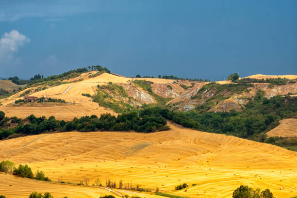 istock Tuscany: the road to Torre a Castello 927139228