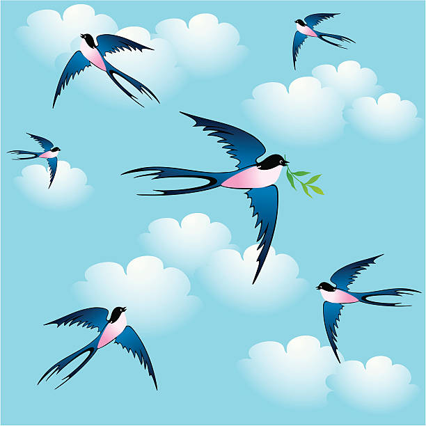 Spring birds  lake martin stock illustrations