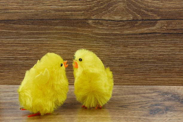 Two yellow chickens on a wooden background as interesting Easter decoration.Horizontal view.