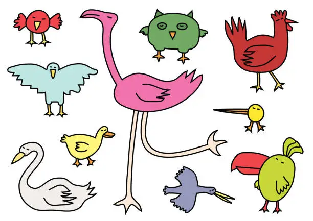 Vector illustration of vector birds