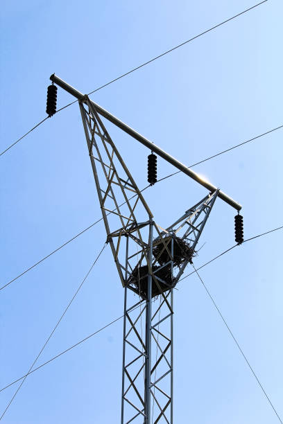 Two raven nests at the top of a power pole tower Two raven nests at the top of a power pole tower. crows nest stock pictures, royalty-free photos & images