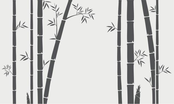Bamboo tree silhouette background Vector Illustration of Bamboo tree silhouette background bamboo texture stock illustrations