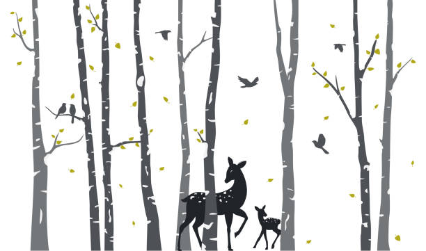 Birch Tree with deer and birds Silhouette Background Vector Illustration of Birch Tree with deer and birds Silhouette Background birch bark background stock illustrations