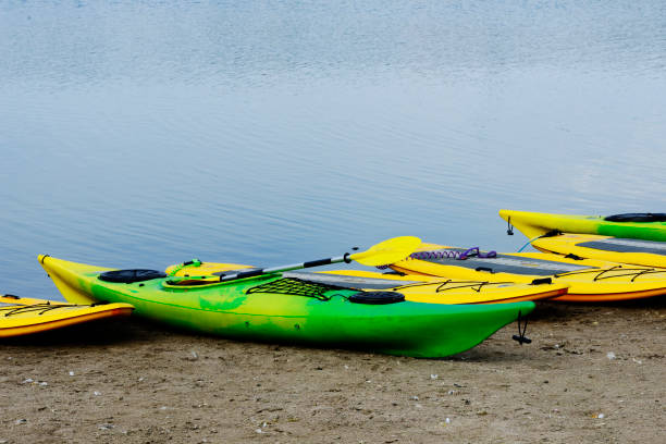istock surfers and kayaks on the sandy beach 927155950