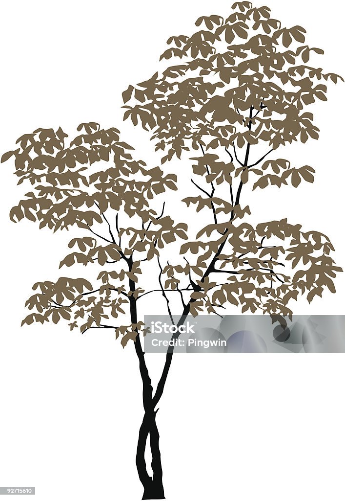 Chestnut-tree  Art And Craft stock vector