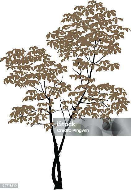 Chestnuttree Stock Illustration - Download Image Now - Art And Craft, Beauty In Nature, Black Color